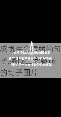 感慨生命脆弱的句子,感慨生命脆弱的句子图片