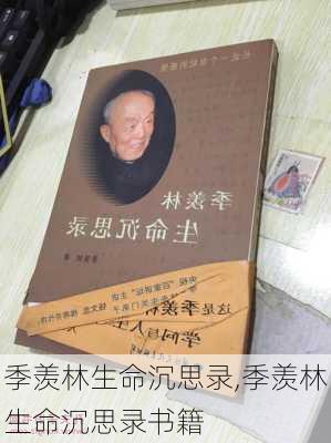 季羡林生命沉思录,季羡林生命沉思录书籍