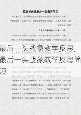 最后一头战象教学反思,最后一头战象教学反思简短