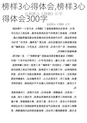 榜样3心得体会,榜样3心得体会300字