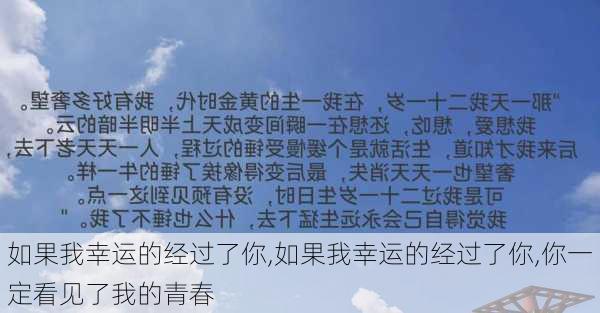 如果我幸运的经过了你,如果我幸运的经过了你,你一定看见了我的青春