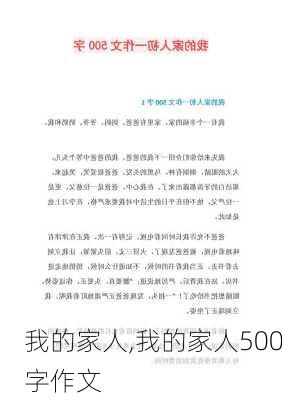 我的家人,我的家人500字作文