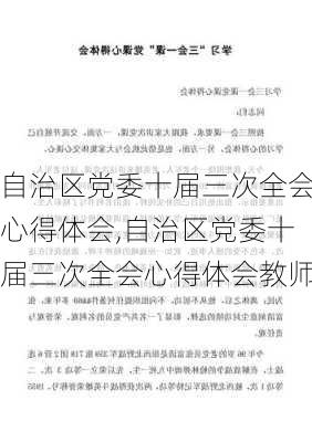 自治区党委十届三次全会心得体会,自治区党委十届三次全会心得体会教师