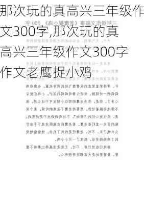 那次玩的真高兴三年级作文300字,那次玩的真高兴三年级作文300字作文老鹰捉小鸡