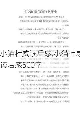 小猫杜威读后感,小猫杜威读后感500字