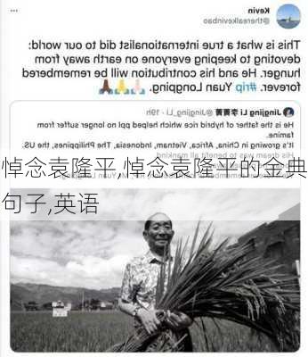 悼念袁隆平,悼念袁隆平的金典句子,英语