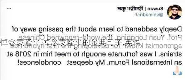 悼念袁隆平,悼念袁隆平的金典句子,英语