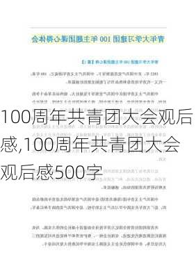 100周年共青团大会观后感,100周年共青团大会观后感500字