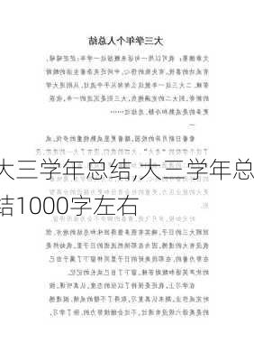 大三学年总结,大三学年总结1000字左右