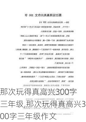 那次玩得真高兴300字 三年级,那次玩得真高兴300字三年级作文