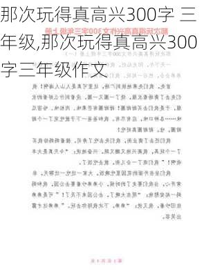 那次玩得真高兴300字 三年级,那次玩得真高兴300字三年级作文