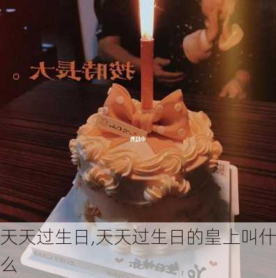 天天过生日,天天过生日的皇上叫什么