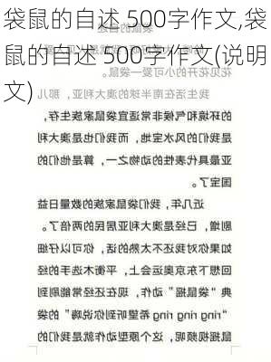 袋鼠的自述 500字作文,袋鼠的自述 500字作文(说明文)