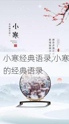 小寒经典语录,小寒的经典语录