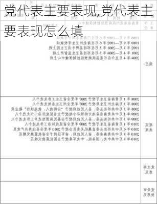 党代表主要表现,党代表主要表现怎么填