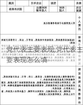 党代表主要表现,党代表主要表现怎么填