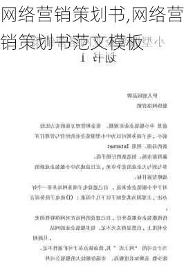 网络营销策划书,网络营销策划书范文模板