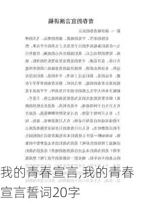 我的青春宣言,我的青春宣言誓词20字