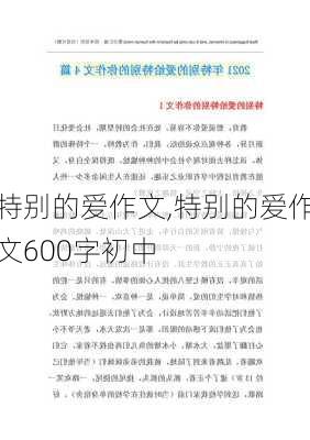 特别的爱作文,特别的爱作文600字初中