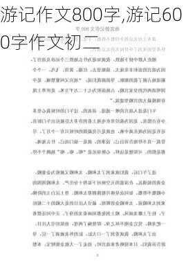 游记作文800字,游记600字作文初二