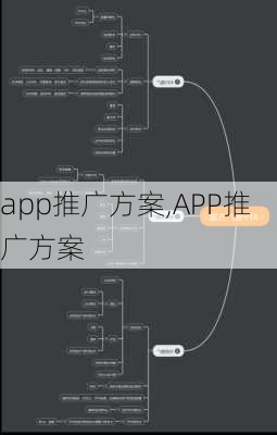 app推广方案,APP推广方案