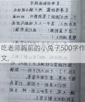 吃老师胸前的小兔子500字作文,