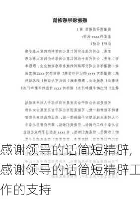 感谢领导的话简短精辟,感谢领导的话简短精辟工作的支持