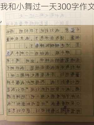 我和小舞过一天300字作文,