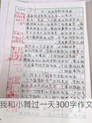 我和小舞过一天300字作文,