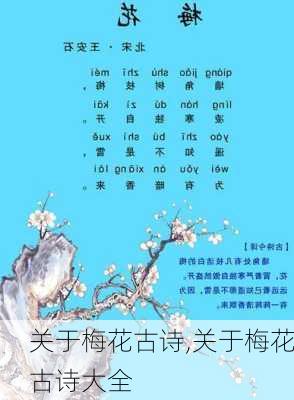 关于梅花古诗,关于梅花古诗大全