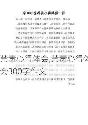 禁毒心得体会,禁毒心得体会300字作文