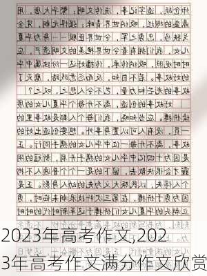 2023年高考作文,2023年高考作文满分作文欣赏