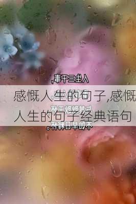 感慨人生的句子,感慨人生的句子经典语句