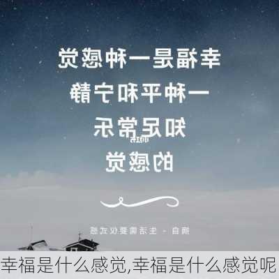 幸福是什么感觉,幸福是什么感觉呢