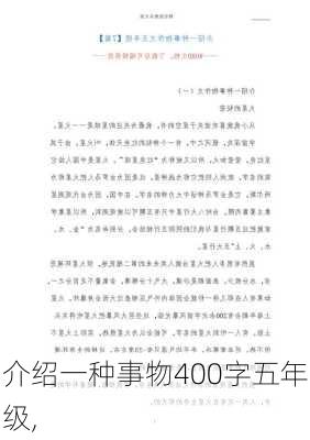 介绍一种事物400字五年级,