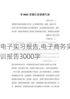 电子实习报告,电子商务实训报告3000字