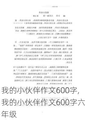 我的小伙伴作文600字,我的小伙伴作文600字六年级