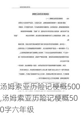 汤姆索亚历险记梗概500,汤姆索亚历险记梗概500字六年级