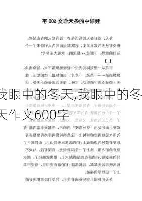 我眼中的冬天,我眼中的冬天作文600字