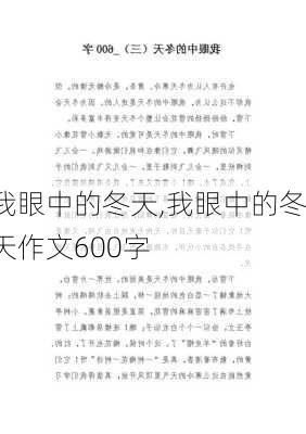 我眼中的冬天,我眼中的冬天作文600字