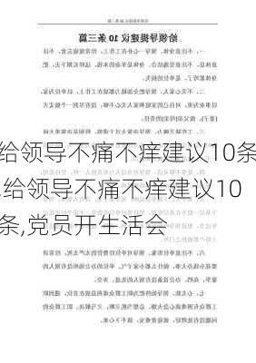 给领导不痛不痒建议10条,给领导不痛不痒建议10条,党员开生活会