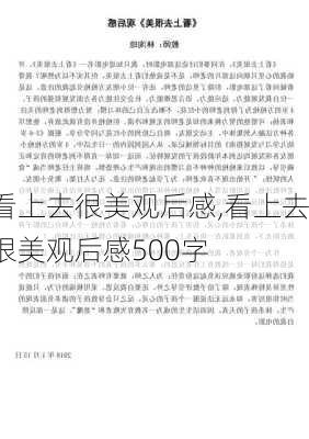 看上去很美观后感,看上去很美观后感500字