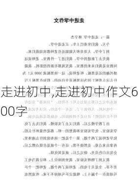 走进初中,走进初中作文600字