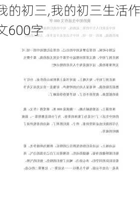 我的初三,我的初三生活作文600字