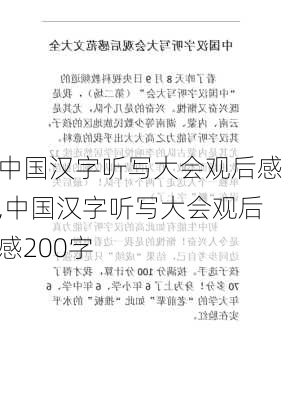 中国汉字听写大会观后感,中国汉字听写大会观后感200字