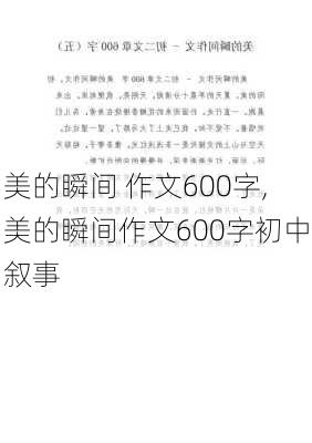 美的瞬间 作文600字,美的瞬间作文600字初中叙事