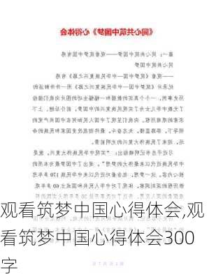 观看筑梦中国心得体会,观看筑梦中国心得体会300字