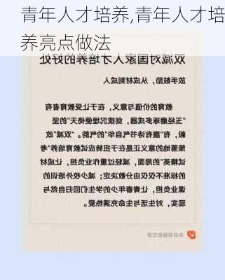 青年人才培养,青年人才培养亮点做法