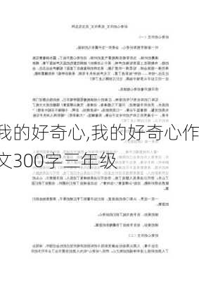 我的好奇心,我的好奇心作文300字三年级