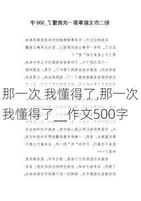 那一次 我懂得了,那一次我懂得了__作文500字